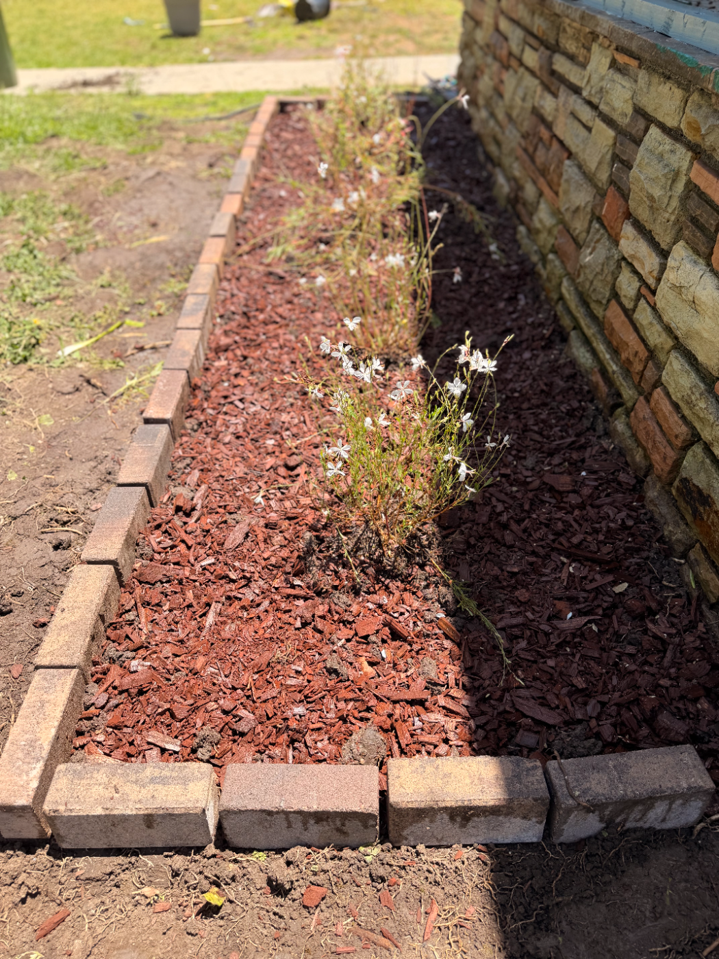Mulched planting bed edged in brick along a walkway