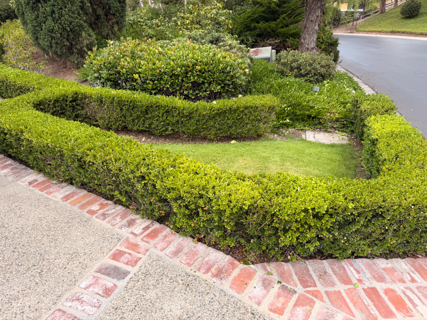 Trimmed hedges and brick-edged beds on a front lawn