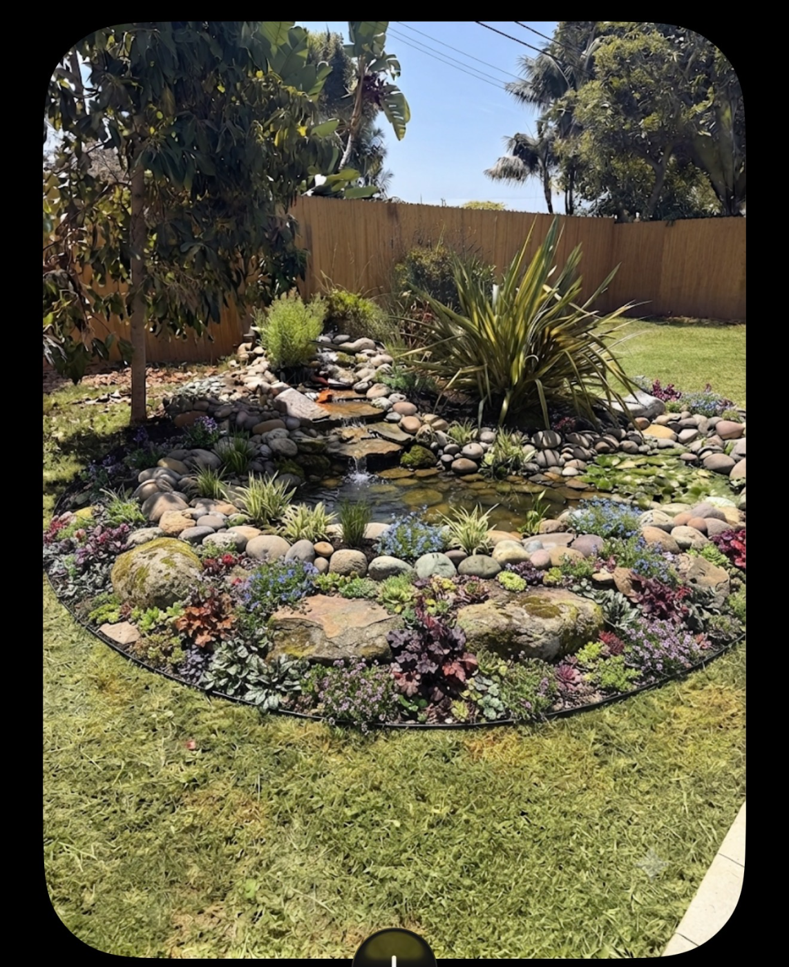 Rock and succulent garden bed set into a lawn
