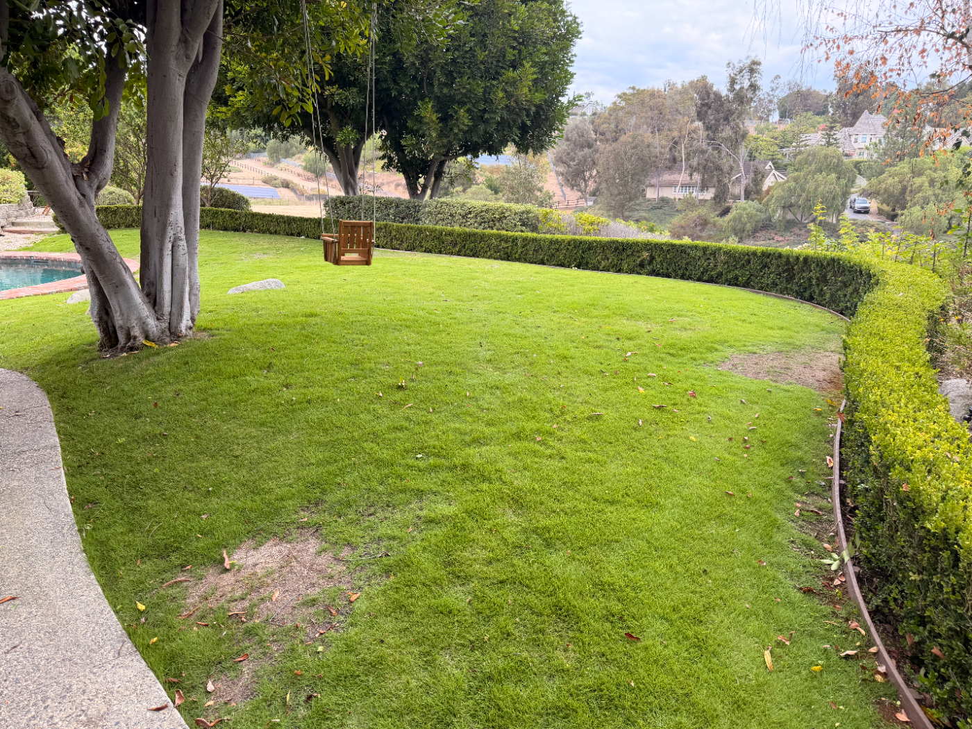 Backyard lawn with mature trees and a hillside view