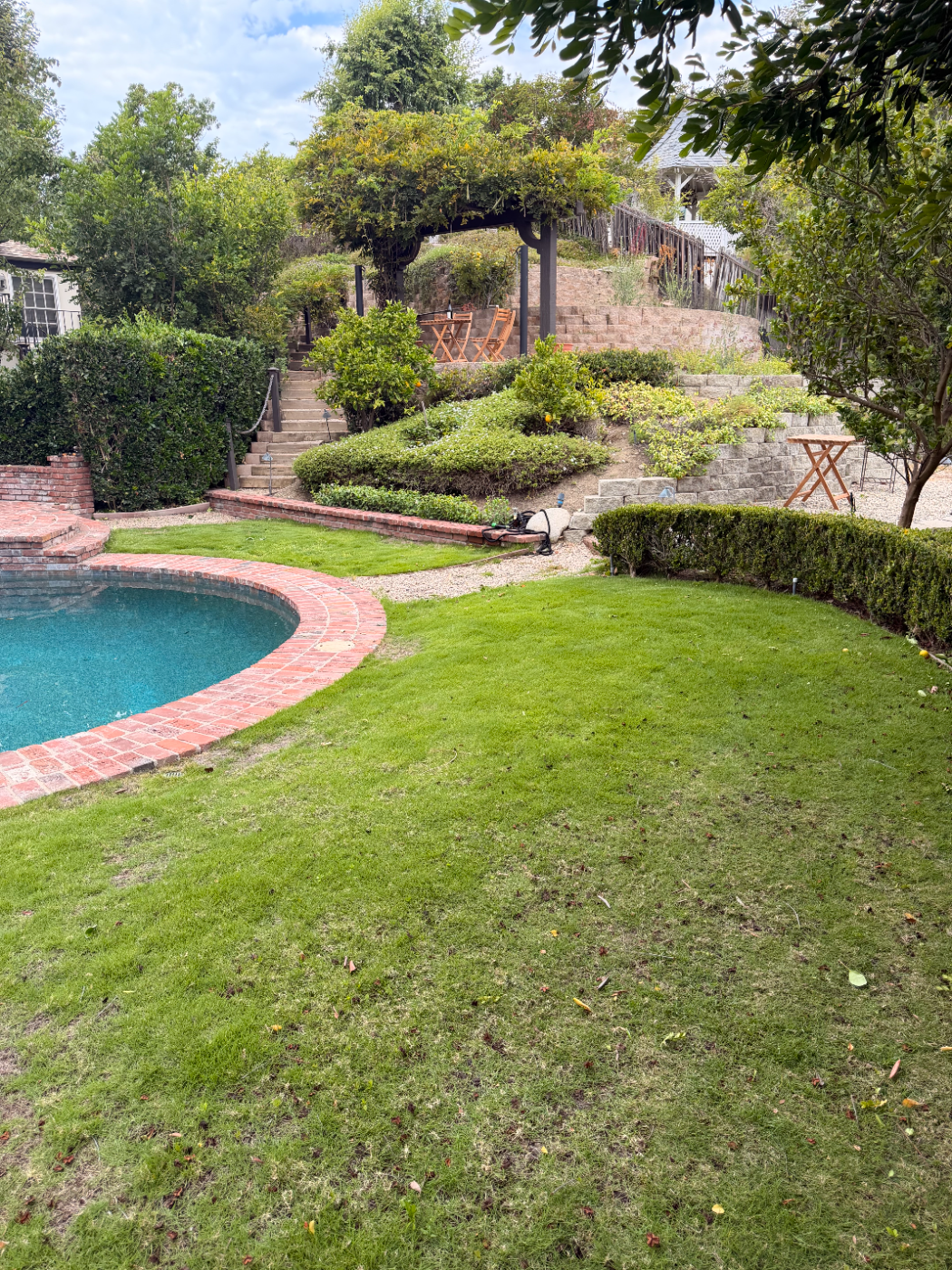Pool surrounded by trimmed lawn and planted borders